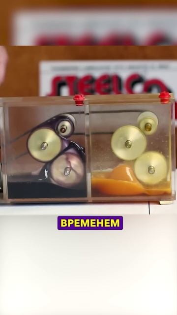 Дорогое масло Vs Дешевое