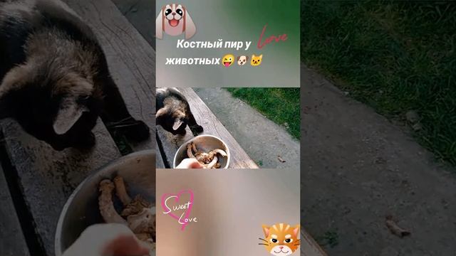 костный пир