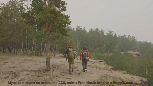 Шёпот волн и нежный синтез! - The First Time -- Duncan Reid and the Big Heads -- Live at WFMU for th