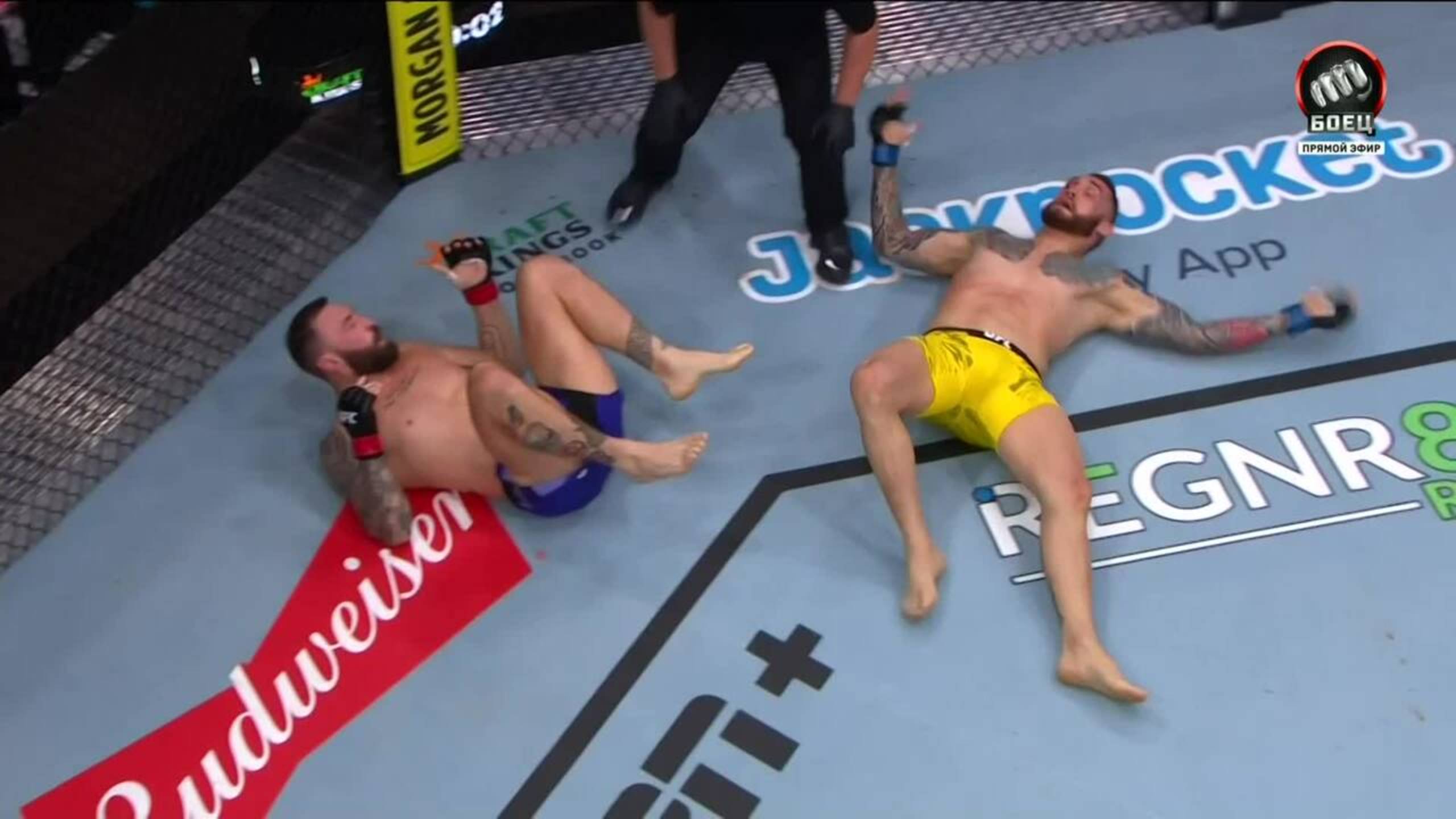 Бой между Полом Крейгом и Родолфо Беллато признан несостоявшимся (видео). UFC Fight Night