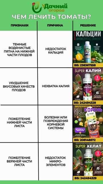 Чем болеют томаты