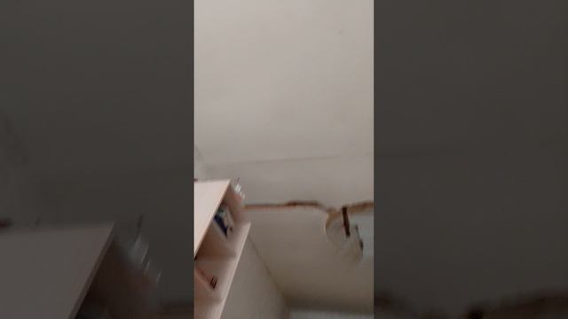 прятки