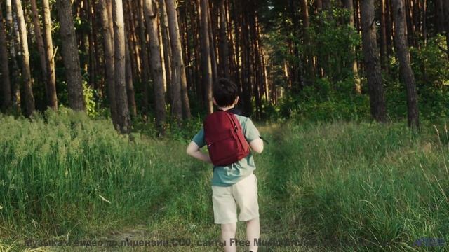 Почему этот клип вызывает непреодолимую тягу к путешествиям - An Unwavering Will -- Nihilore -- Best