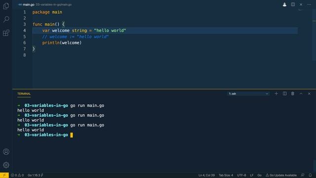 04 - Variables in Go