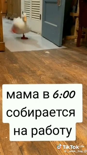 1000011470.mp4