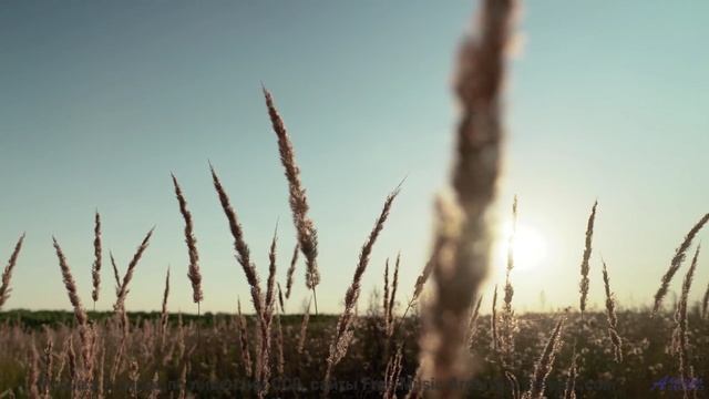 Пейзажи раскрываются так, как без музыки не способны - Air It Out -- Derek Clegg -- The Best Of Numb