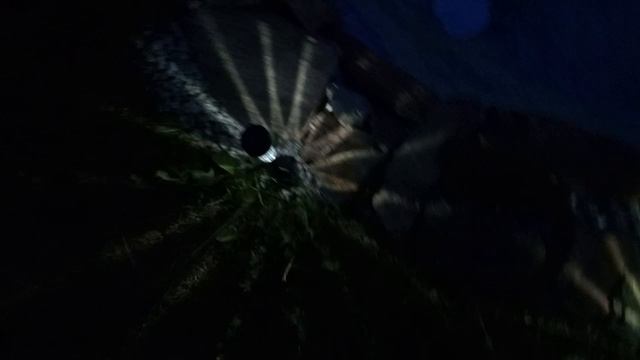 Природа. Игрушки. Котята. Обращение к неравнодушным людям г.Подольска.