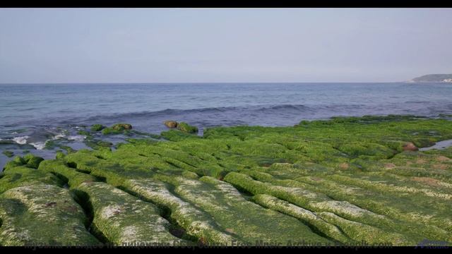 Музыка и виды вместе создают эффект погружения - Bush Week -- Nihilore -- Broken Parts
