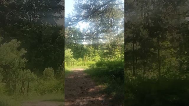 Как купаться