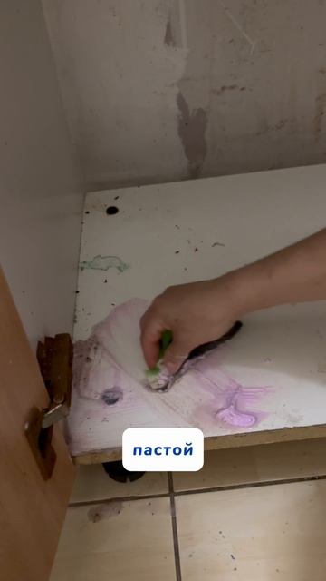 Кот и мусорка