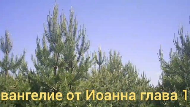 Библия Евангелие от Иоанна глава 11