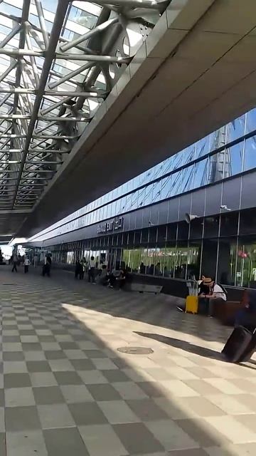 В Пути на Форум МаЭД Казахстана. Наталья Гришаева. Мир Универсологии