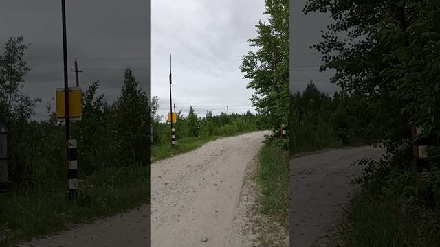 1000022203.mp4