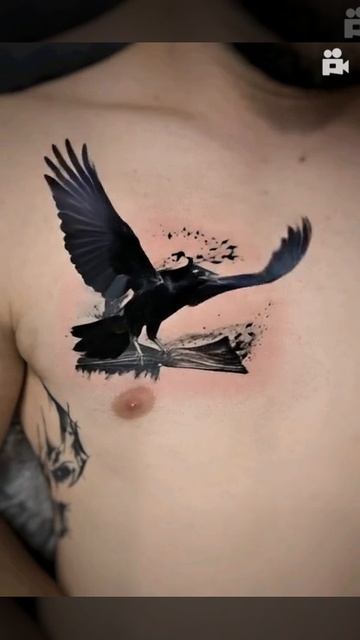 Видео из портфолио  INKVAGNER ворон
