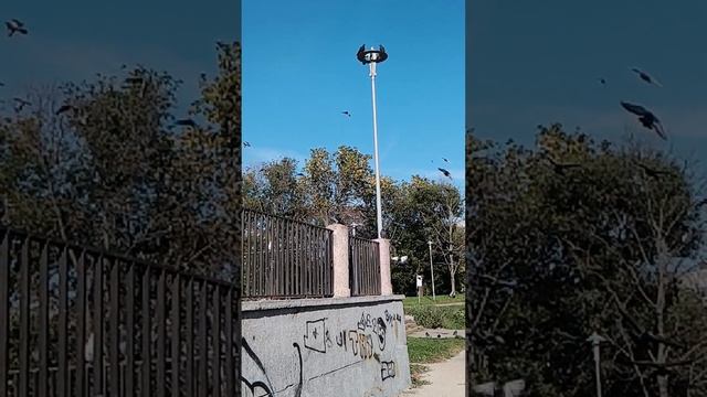 Родители вас любят безусловно