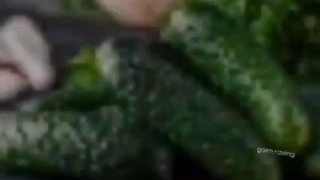 Огурцы