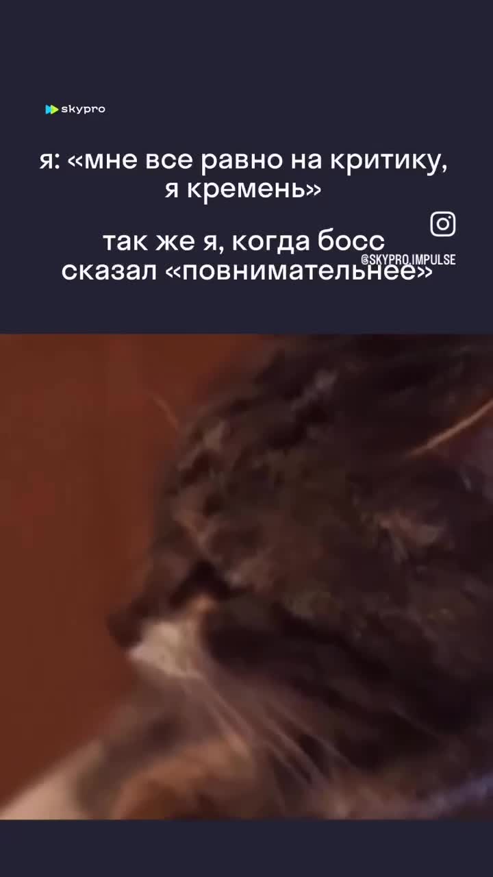 Кот поворачивается и плачет 😿