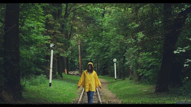 Осенний лес и тёплые аккорды! - Dreamers -- HoliznaCC0 -- Forager