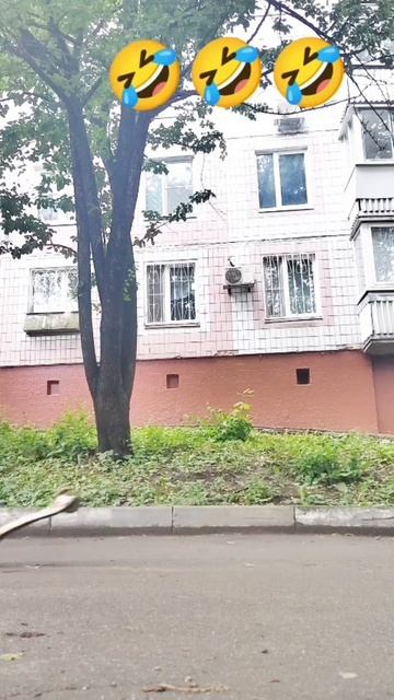 Пов: 1 трюк🤣🤣🤣