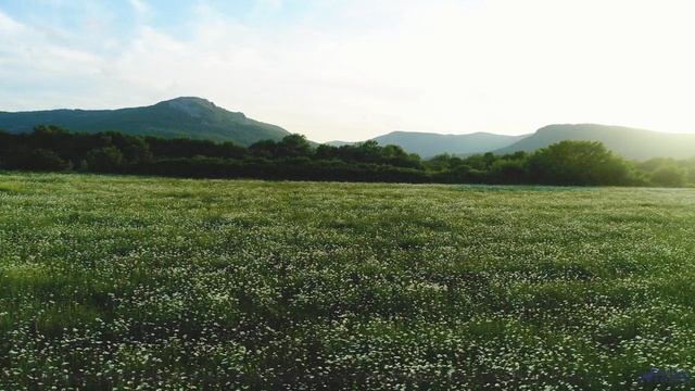 Это видео ПЕРЕВЕРНЁТ твой мир! - Hardwave -- Soft and Furious -- Fluid