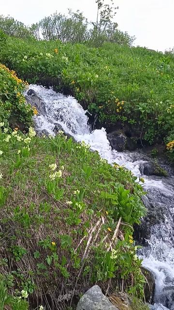 VID_20250615_171641.mp4