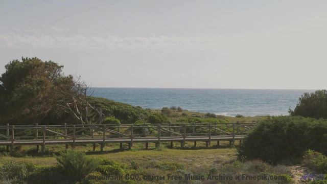 Вы такого не видели - природа под этим хитом - The American -- King Elizabeth -- Miami
