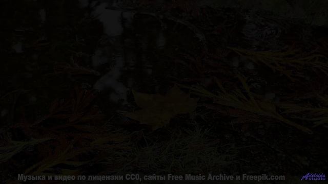 Пейзажи разрывают шаблоны под такой мелодией - Operatic -- New Millennium String Ensemble -- NMSE 2