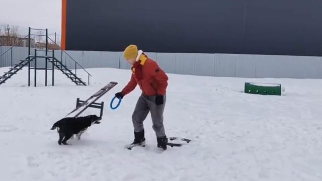 Юрочка в поисках дома 🥰