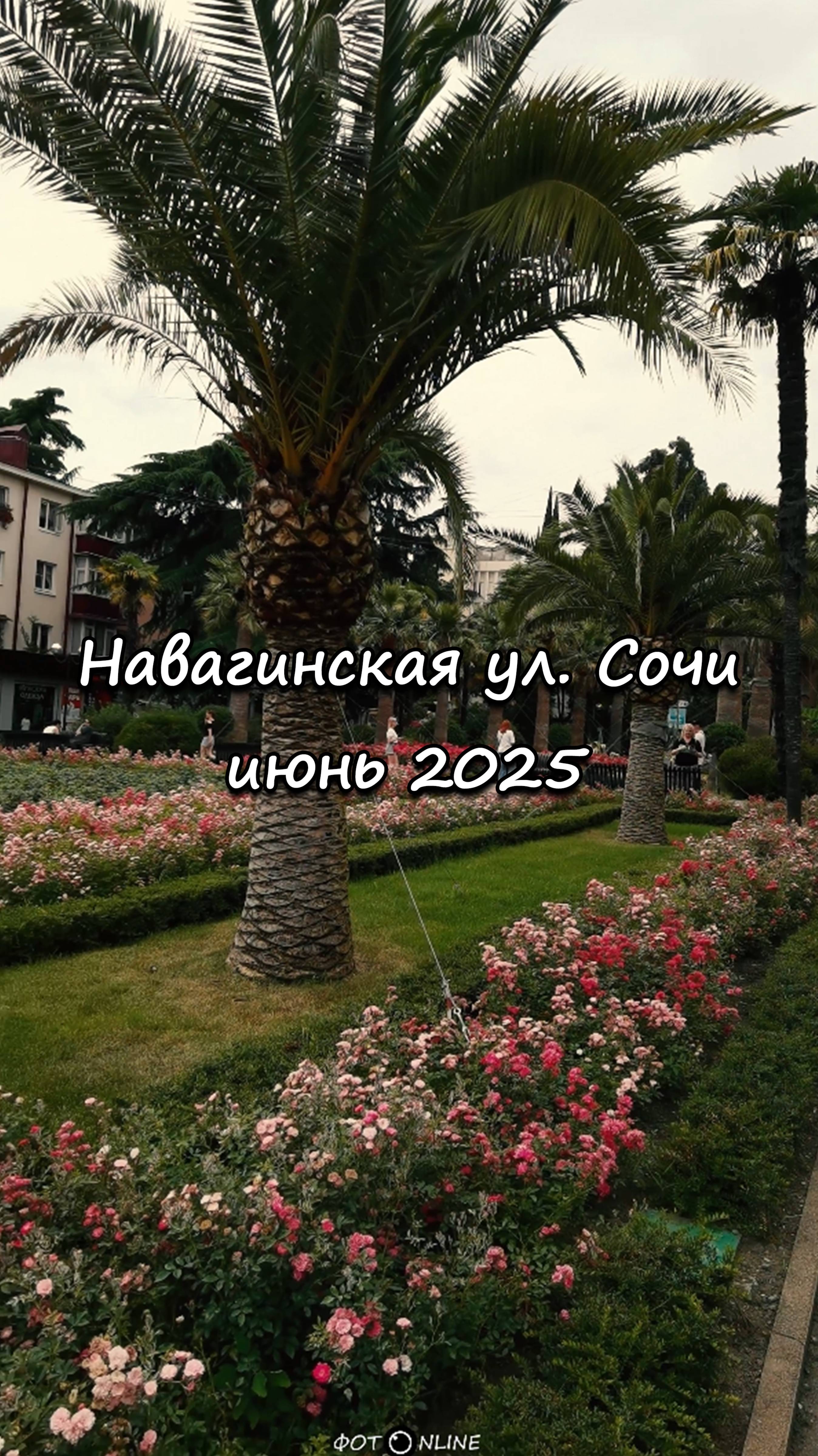 наваг2