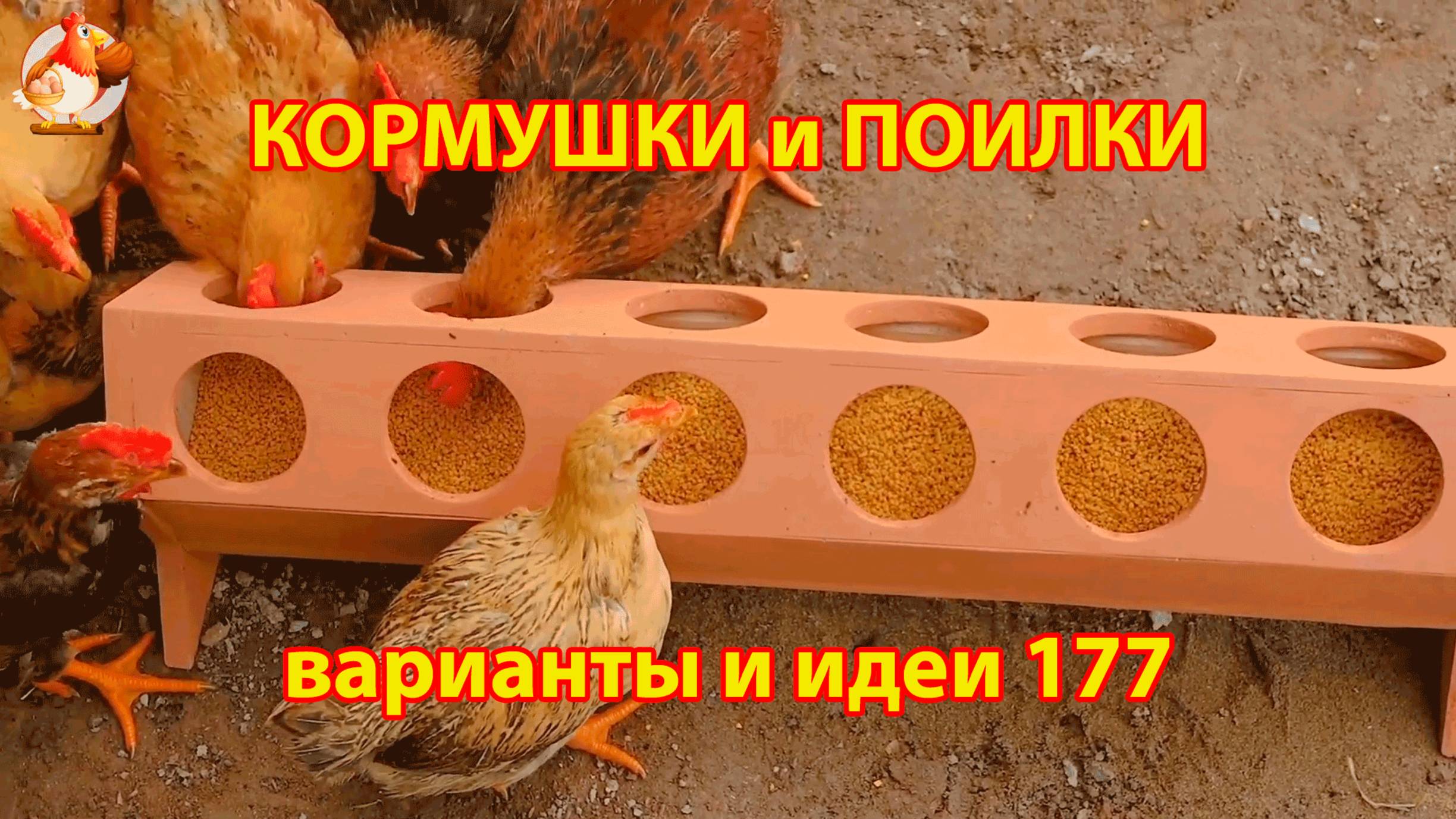 Кормушки и поилки для кур своими руками (177) 🪚✂️ Пошаговая инструкция как сделать 🐔 🐓❣️