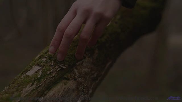 Пейзажи звучат громче любого оркестра с этим треком - Since Seventeen -- Derek Clegg -- The Best Of