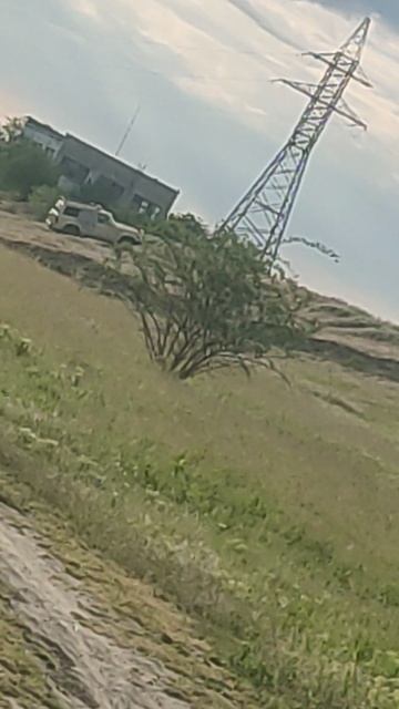 VID_20250513_182946