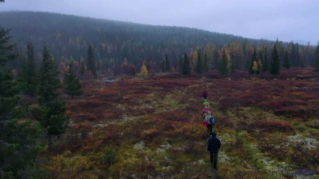 Почему мудрецы медитируют под эти звуки Истина здесь! - Amber Glow -- Scott Holmes Music -- Inspirin