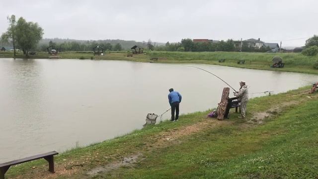 поимка карпа
