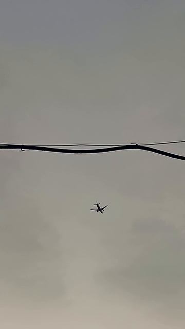 встал и ответил...