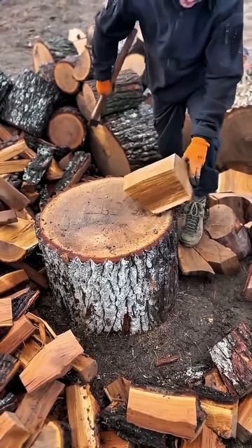 An expert when it comes to cutting wood #shorts