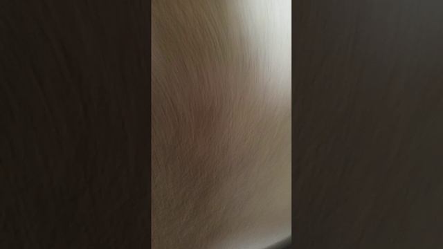 1000020011.mp4