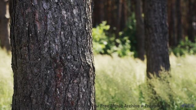 Музыка рисует на небе больше, чем краски - Демоны за стенами -- Фиорд -- Невзялазь