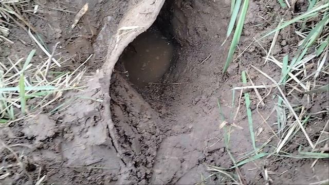 Металлокоп . Пополняем копилочку + 150-200 кг .