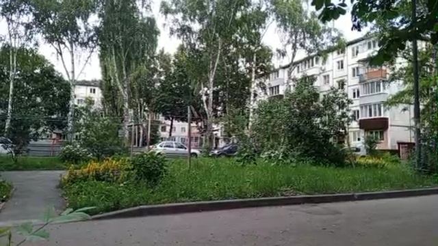 1000008533.mp4