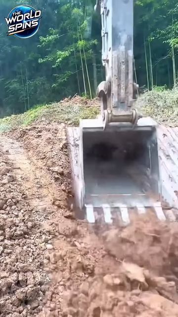 DIG THE SOIL #development #shorts #tranding