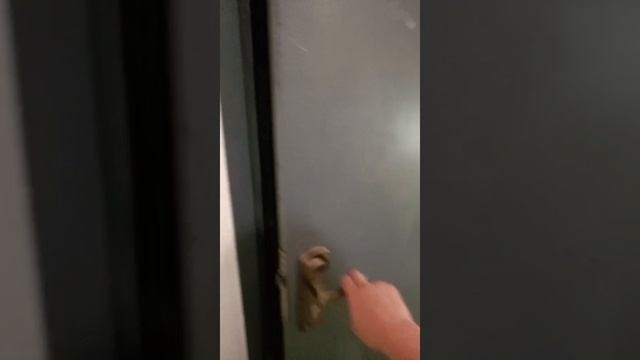 1000163616.mp4