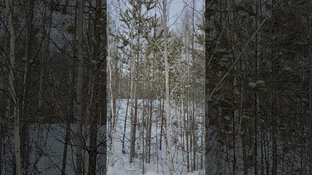 зверь подо льдом