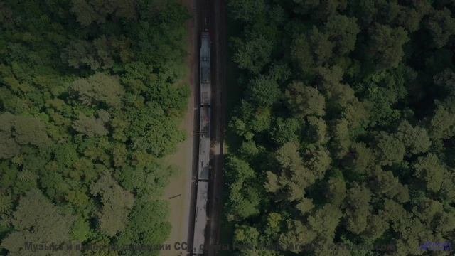 Это видео ЗАПРЕЩЕНО показывать детям! - Hear me Out -- Ketsa -- Unified Division