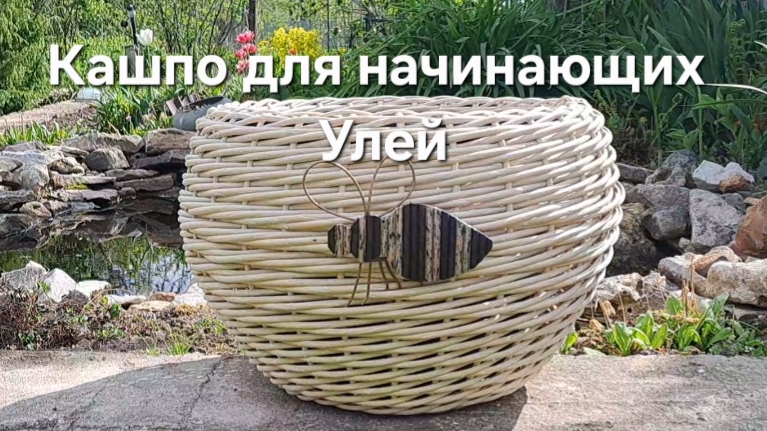 Кашпо для начинающих УЛЕЙ