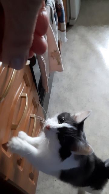 1000072710.mp4