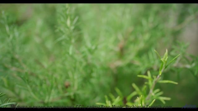 Ты не сможешь забыть его, даже если захочешь! - Probably Not -- Soft and Furious -- Bae