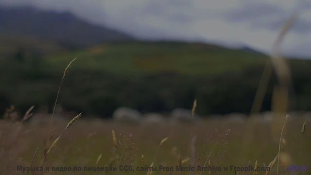 Трек, который вы включите, когда в сотый раз свернёте с маршрута - Mountains All Around Us -- Scott