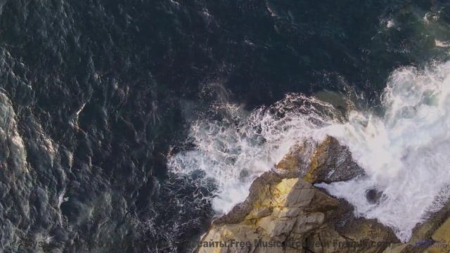Этот клип - как обещание, что все будет хорошо! - Fire Away -- Forget the Whale -- You. Me. Talk. No
