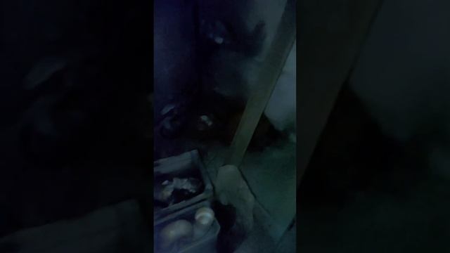 Дневник светофорщика. День третий.